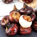 Castanele comestibile: alimentul de toamnă pe care mulți îl ignoră. Ce beneficii au și cum le poți consuma