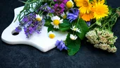 10 flori pe care poți să le mănânci. Beneficiile incredibile ale florilor comestibile
