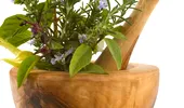 Plantele aromatice, reţeta unui organism tânăr şi sănătos!