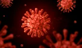 Alertă sanitară în Europa! Noua variantă COVID-19 care se răspândește rapid
