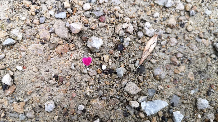 Singură de Ziua Îndrăgostiților? 2 motive pentru care să celebrezi totuși iubirea