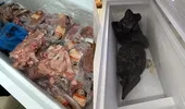 Imagini din hotelul din Saturn unde 58 de turiști s-au îmbolnăvit. Ce au găsit inspectorii cu doar trei zile înainte?