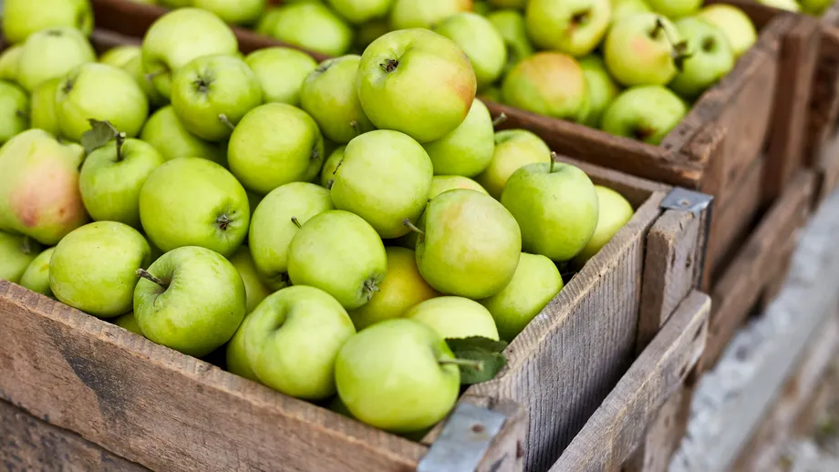 Cum să păstrezi merele proaspete până la 6 săptămâni! Așa vei reduce risipa alimentară