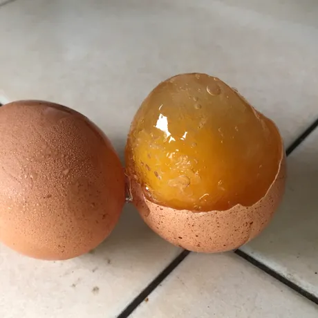 De ce nu e bine să congelezi ouăle crude întregi în coajă. 4 metode sigure de a congela ouă