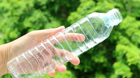 Cum să folosești sticlele de plastic în grădină să ai mereu florile și răsadurile ude. Trucul care te va ajuta să nu mai stai toată ziua în grădină