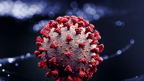 „COVID-19: Pericol Mondial”, un nou documentar special despre coronavirus, pe Discovery Channel