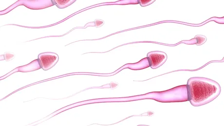 Testarea fertilitatii la barbati - teste de infertilitate