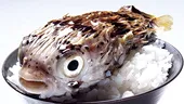 Placeri culinare periculoase: Fugu
