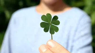 2 zodii care au parte de o avalanșă de noroc la început de martie! Visurile lor devin realitate