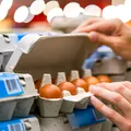 Peste 1,5 milioane de cutii de ouă, retrase din magazine din cauza riscului de Salmonella