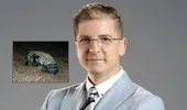Cum arată mușcătura de pește-iepure, specia care a pus în alertă turiștii din Grecia?