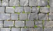 Soluție naturală pentru buruienile din curte: cu oțet, sare și un ingredient secret! Rezultatele apar în câteva ore