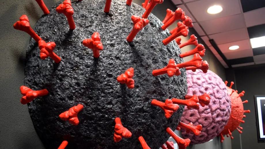 Atlasul Virusurilor, prima expoziție 3D din România care explorează universul invizibil al virusurilor