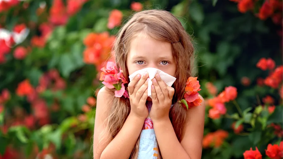 Febra la copiii alergici