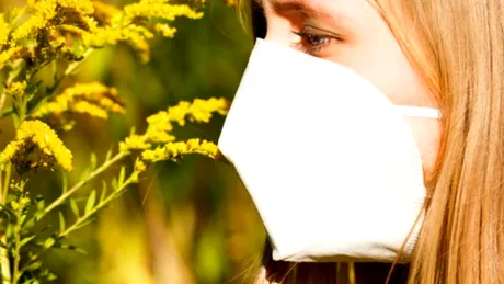 Ambrozia - de ce apar alergii