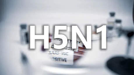 Unde ar fi apărut prima dată virusul de gripă aviară H5N1