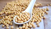 Leguma controversată care reduce semnificativ colesterolul