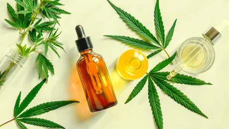 Uleiul CBD, între mit și realitate