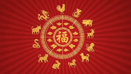 Bani, liniște și schimbări majore pentru aceste 4 semne din zodiacul chinezesc