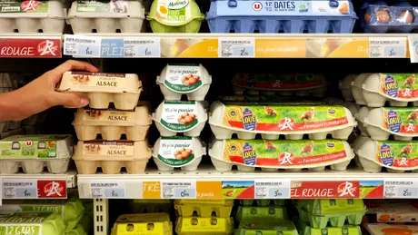 Ouăle de la raftul magazinelor cu etichete înșelătoare. Cum le recunoști pe cele mai periculoase