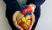 (P) Atenție la afecțiunile care pot apărea la nivelul sistemului cardiovascular