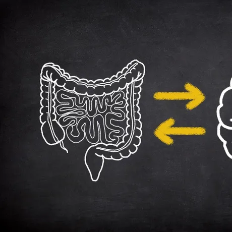 Legătura surprinzătoare dintre ADHD și problemele digestive. Studiul uriaș pe 1,9 milioane de oameni