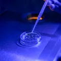 Sute de pacienți, disperați după blocarea Programului FIV. În 2024, în România s-au născut doar 149 612 copii, fiind cel mai mic număr de copii născuți de când se fac măsurători demografice în țara noastră