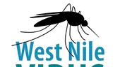 West Nile, boala transmisă de țânțari: simptome, diagnostic și tratament