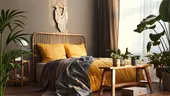 7 plante care nu trebuie ținute în dormitor. Greșeala pe care mulți români o fac
