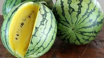 Este sănătos sau nu pepenele verde cu miez galben? De ce este galben, de fapt