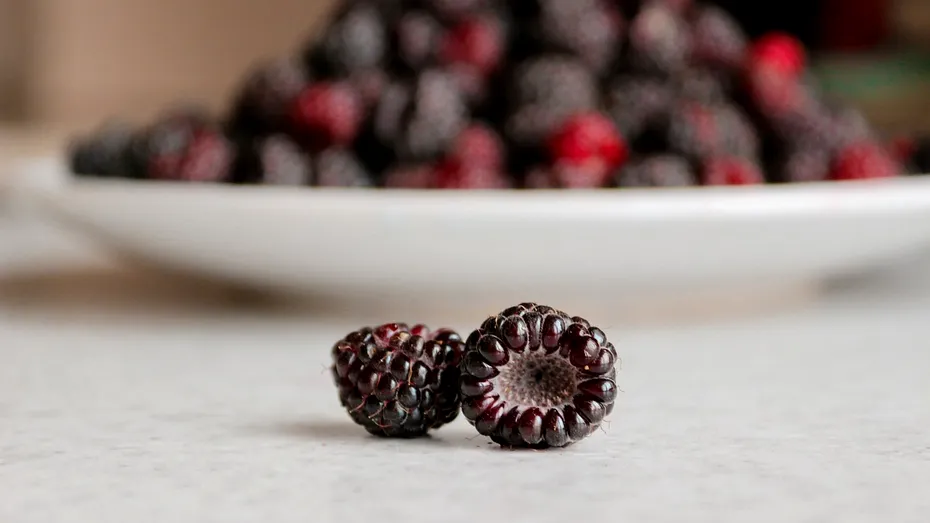 Budincă cu mure şi kefir: Reţetă fără zahăr şi fără gluten