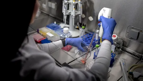 Terapia cu celule stem: o abordare inovatoare pentru tratarea bolilor