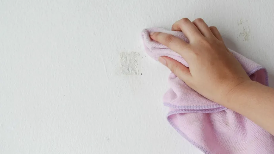 Cum să cureți pereții murdari. Cele mai eficiente metode pentru fiecare tip de murdărie