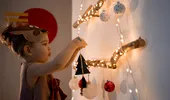 Cum să faci un brad de Crăciun din crengi. 10 modele de brazi împodobiți care arată spectaculos