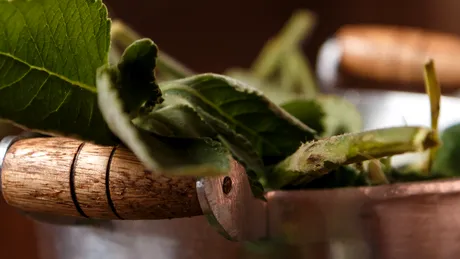 Ceaiul boldo: medicamentul natural pentru ficat şi probleme digestive