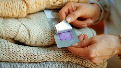 Soluții naturale pentru molii. Ingrediente de care nu se apropie niciodată!