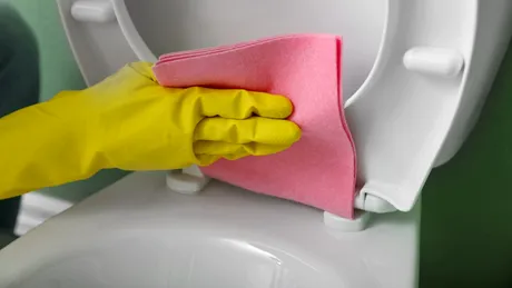 Cât de des trebuie să cureți capacul de la toaletă și când e nevoie să-l schimbi
