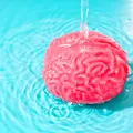 Creierul se „curăță” în timp ce dormim. Cercetătorii au descoperit cât de repede elimină deșeurile