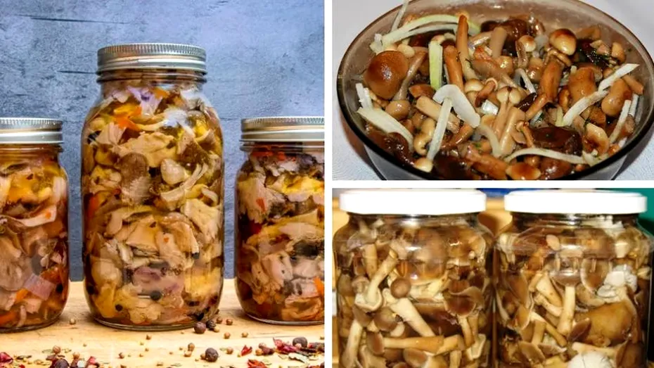 Ghebe marinate la borcan! Rețeta de ciuperci murate pentru iarnă cu care bunicile din Bucovina fac ravagii