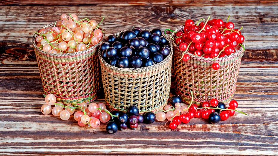 Fructele acrișoare care curăță ficatul și vasele de sânge încărcate cu grăsime
