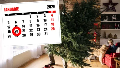 Nu ai strâns încă bradul de Crăciun? De ce ghinion vei avea parte, potrivit superstițiilor, dacă nu l-ai despodobit până pe 20 ianuarie