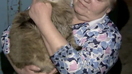 Pisica-eroină a salvat viaţa unui bebeluş de trei luni!
