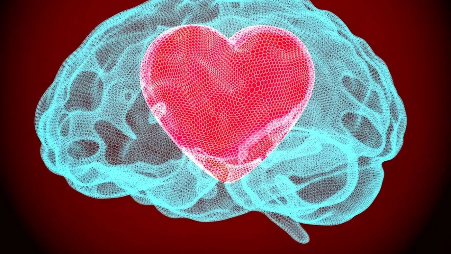 Tratamentul natural și gratuit care îți asigură o minte ageră la bătrânețe