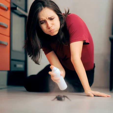 Spray-ul NATURAL pentru a scăpa definitiv de ploșnițe. Se prepară rapid și nu vei mai avea probleme