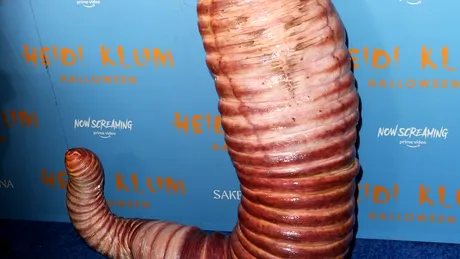 Heidi Klum, îmbrăcată în râmă. Cum a apărut pe covorul roșu