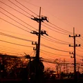 Pană de curent în plină caniculă? Obiectele pe care trebuie să le ai în casă când temperaturile sar de 40°C