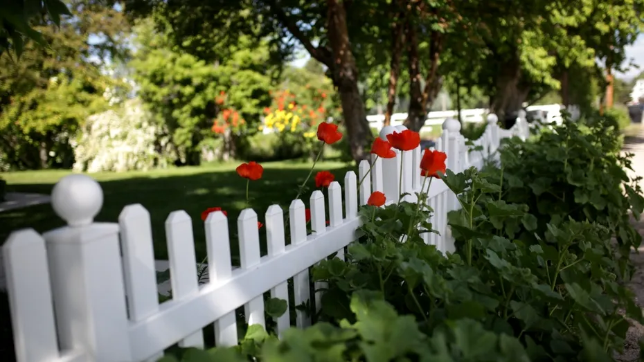 De ce e musai să îți vopsești gardul în alb! Trucul genial care te scapă imediat de o problemă mare