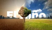 „Super El Niño”, fenomenul care poate schimba vremea la nivel global. Ce efecte ar putea avea