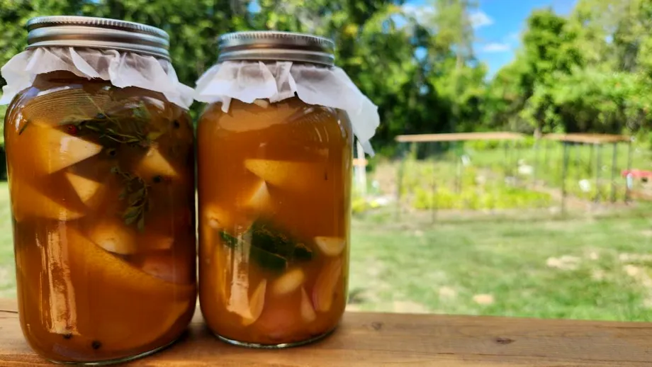 „Poțiunea” care promite imunitate de fier și protecție împotriva răcelilor. Ce conține rețeta clasică