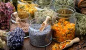 Plantele care înfloresc în mai și beneficiile lor mai puțin cunoscute pentru sănătate